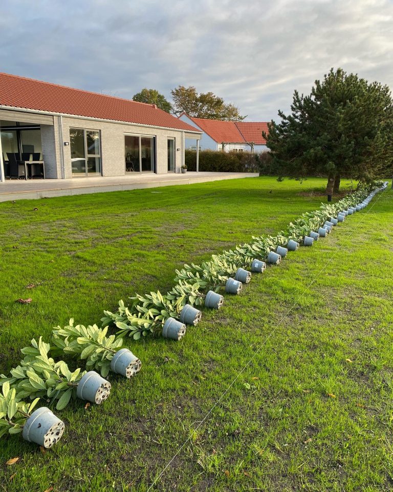 103B44FE-5595-4999-AC04-A6035F21C06A